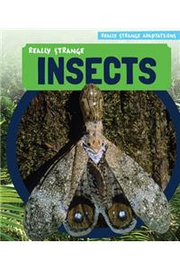 Really Strange Insects