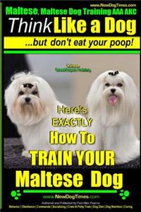 Maltese, Maltese Dog Training AAA AKC