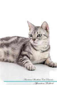 American Shorthair Cat Affirmations Workbook American Shorthair Cat Presents