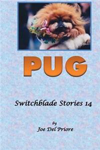 Pug