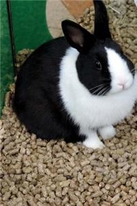 Cute Rabbit Journal