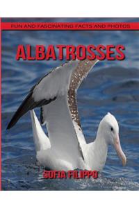 Albatrosses