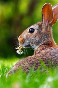 Charming Brown Bunny with a Flower in a Summer Meadow Journal