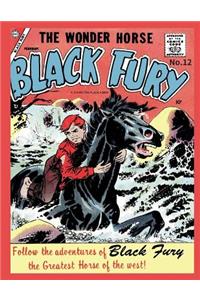 Black Fury # 12