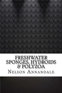 Freshwater Sponges, Hydroids & Polyzoa