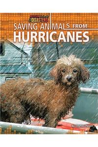 Saving Animals from Hurricanes