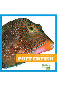 Pufferfish