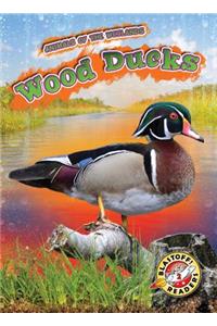 Wood Ducks