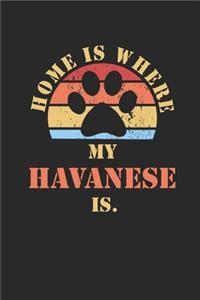 Havanese