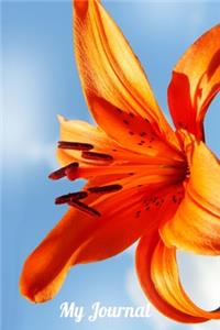 My Journal