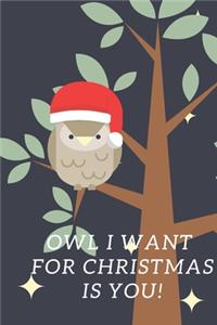 Owl I Want For Christmas Is You