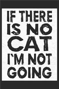 If There Is No Cat