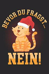 Bevor du fragst... NEIN!