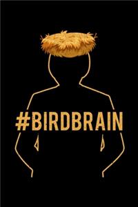 #BirdBrain
