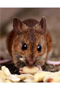 Wood Mouse Dot Grid Bullet Journal: 150 Page Notebook 8 X 10 Inches