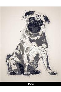 Pug