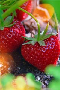 Strawberries Notebook