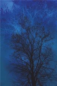 Blue Notebook