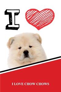 Chow Chows
