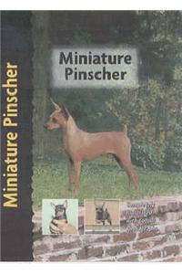 Miniature Pinscher