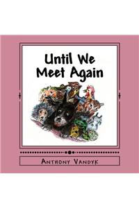Until We Meet Again