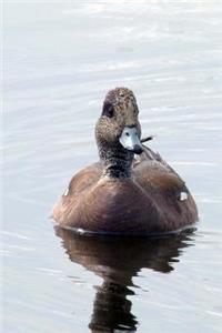 Common Merganser Duck on the Water Journal