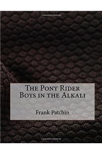 The Pony Rider Boys in the Alkali