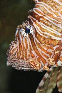 Lion Fish Notebook