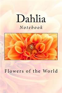 Dahlia