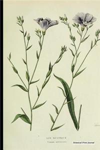 Botanical Print Journal