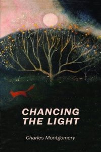 Poetry Chancing the Light