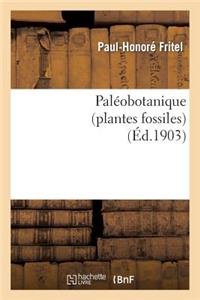 Paléobotanique (Plantes Fossiles)