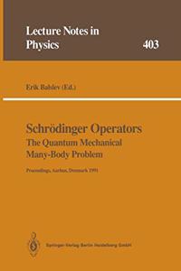 Schradinger Operators. the Quantum Mechanical Many-Body Problem: Proceedings of a Workshop Held at Aarhus, Denmark, 15 May - 1 August 1991