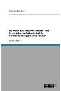Ein Mann zwischen zwei Frauen - Die Dreieckskonstellation in Judith Hermanns Kurzgeschichte Sonja