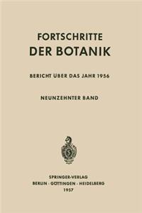Bericht Über Das Jahr 1956