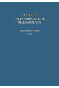 Infektionen I