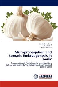 Micropropagation and Somatic Embryogenesis in Garlic