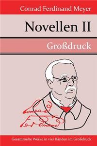 Novellen II (Großdruck)