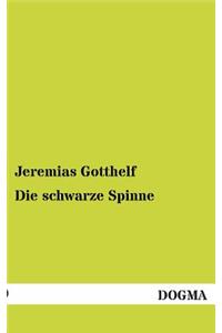 Schwarze Spinne