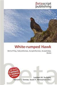 White-Rumped Hawk
