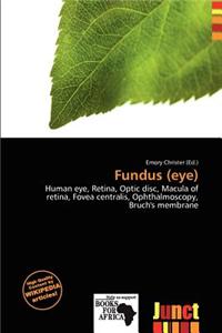 Fundus (Eye)
