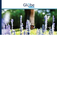 Promising Species of the Family Lamiaceae Used in Folk Medicine