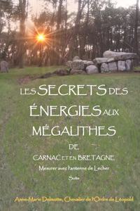 LES SECRETS DES ÉNERGIES AUX MÉGALITHES DE CARNAC ET EN BRETAGNE - Mesurer avec l'antenne de Lecher - Suite