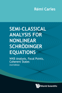 Semi-Classical Analysis for Nonlinear Schrodinger Equations: Wkb Analysis, Focal Points, Coherent States (Second Edition)