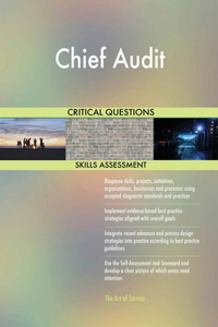 Chief Audit Critical Questions Skills Assessment