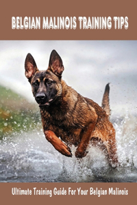 Belgian Malinois Training Tips