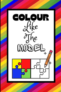 Colour Like the Model