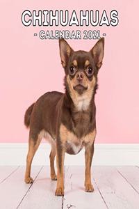 Chihuahuas: 2021 Chihuahua Wall Calendar, Cute Gift Idea For Chihuahua Lovers Or Owners Men And Women