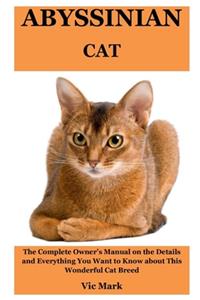 Abyssinian Cat