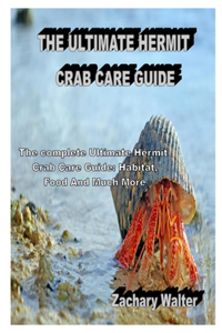 The Ultimate Hermit Crab Care Guide